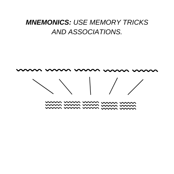 Mnemonics Study Method