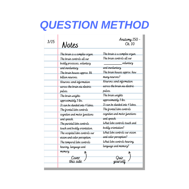Question-Study-Method