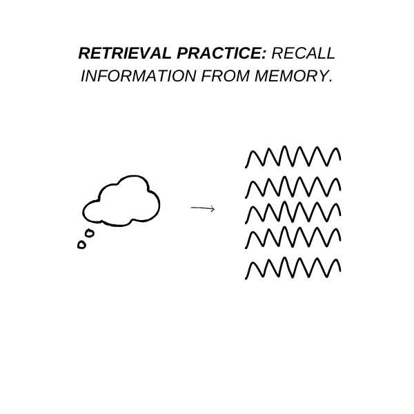 Retrieval Practice Study Method
