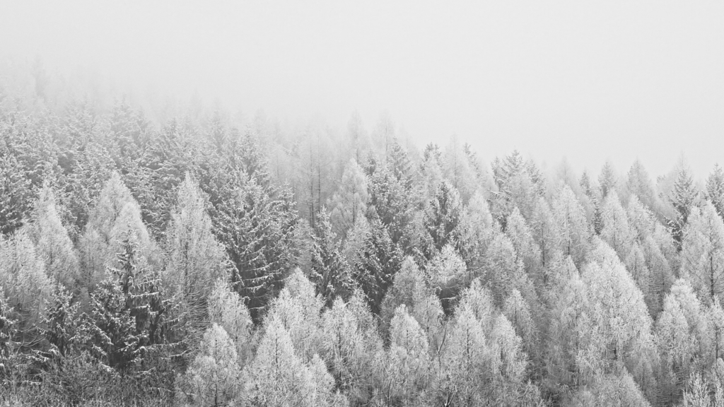 SnowyForestNewYearWallpaper-1