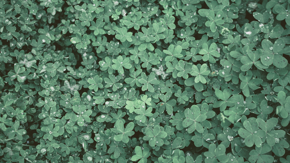 St-Patricks-Day-Desktop-Wallpaper-4