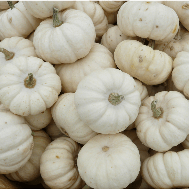 fall-gift-baskets-mini-pumpkins